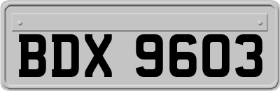 BDX9603