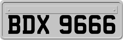 BDX9666