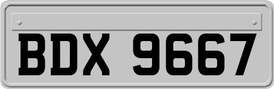 BDX9667
