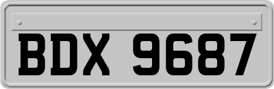 BDX9687