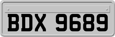 BDX9689
