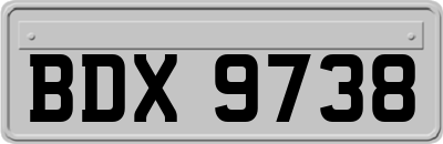 BDX9738