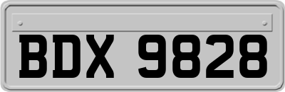 BDX9828
