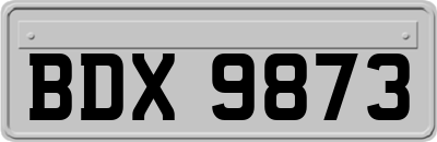 BDX9873