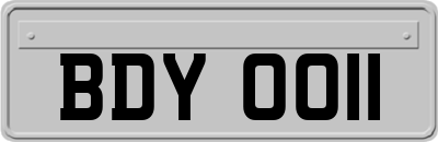 BDY0011