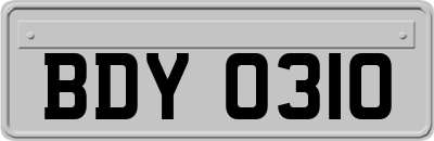 BDY0310