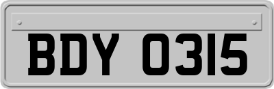 BDY0315