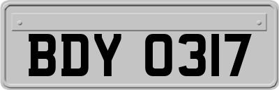 BDY0317