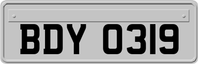 BDY0319