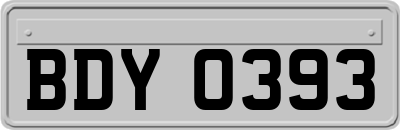 BDY0393