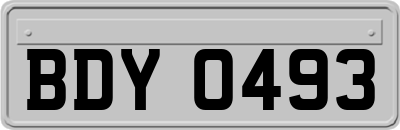 BDY0493