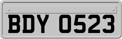 BDY0523
