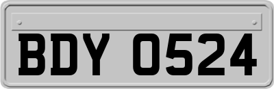 BDY0524