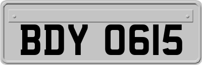 BDY0615