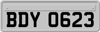 BDY0623