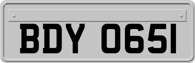 BDY0651