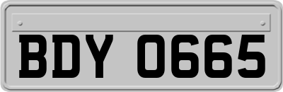 BDY0665