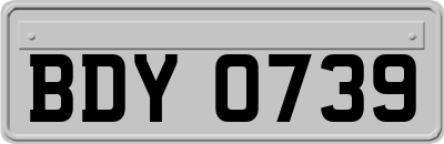 BDY0739