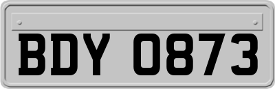 BDY0873