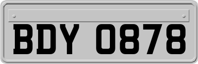 BDY0878