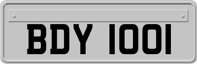 BDY1001