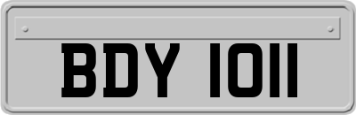 BDY1011