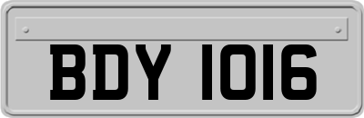 BDY1016