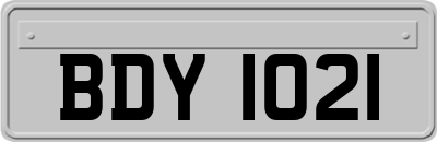 BDY1021
