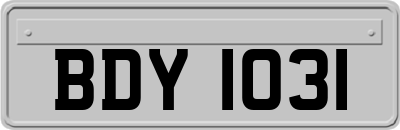 BDY1031