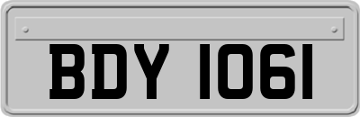 BDY1061