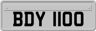 BDY1100