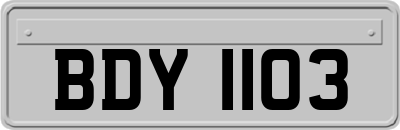 BDY1103