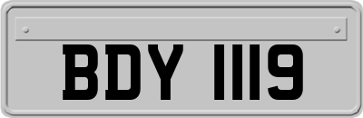 BDY1119