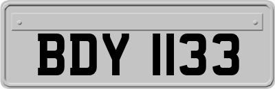 BDY1133