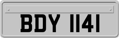 BDY1141