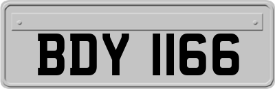 BDY1166