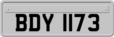 BDY1173