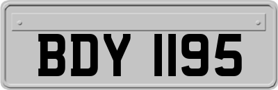 BDY1195