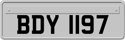 BDY1197
