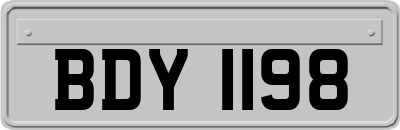 BDY1198