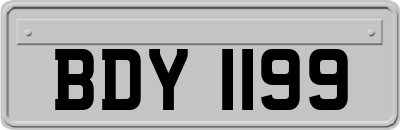 BDY1199