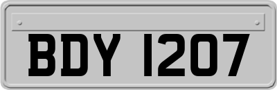 BDY1207