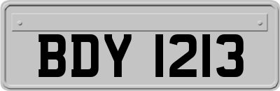 BDY1213