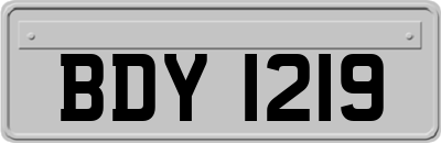 BDY1219
