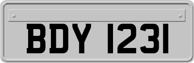 BDY1231
