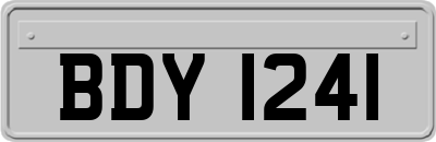 BDY1241