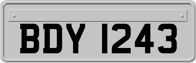 BDY1243