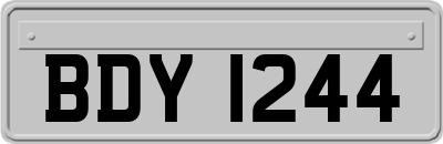 BDY1244