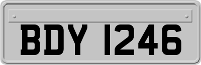 BDY1246