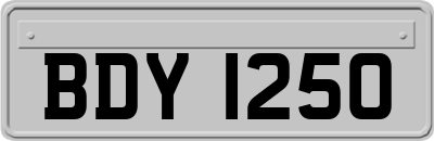 BDY1250